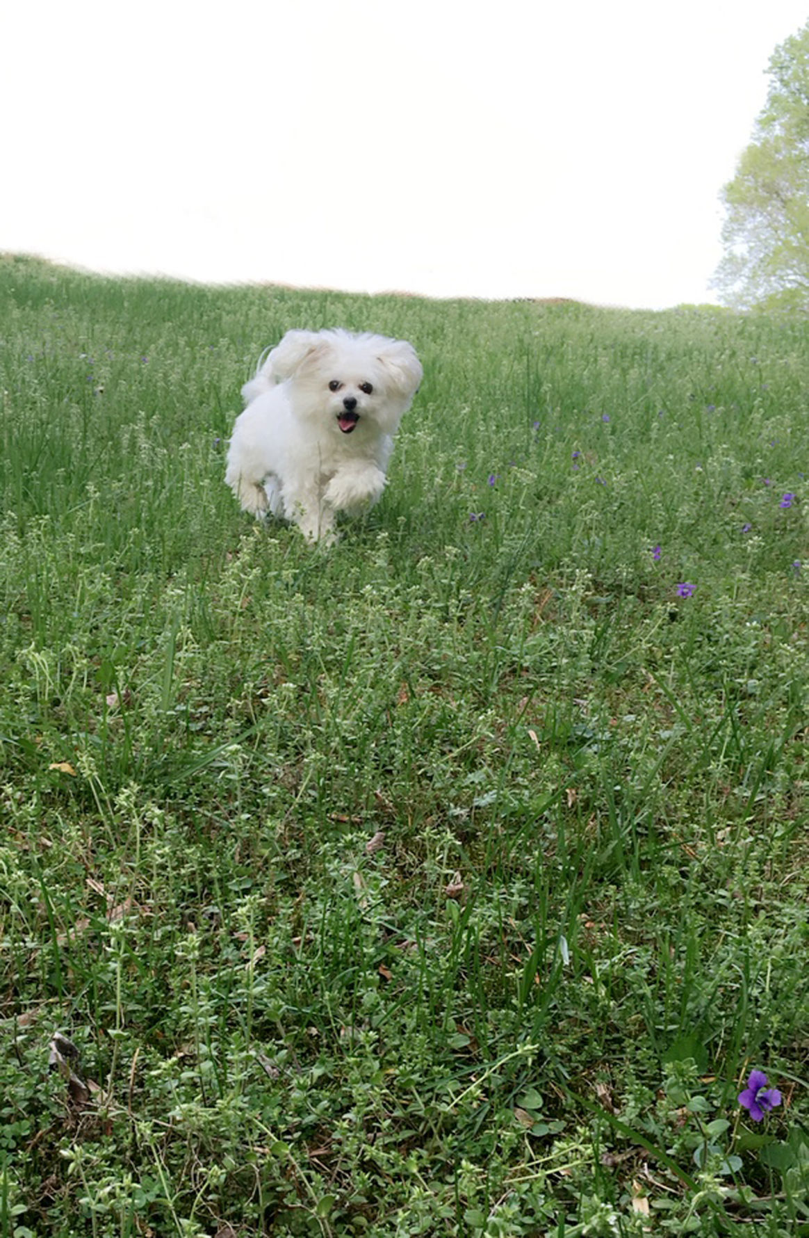 Happy Abby